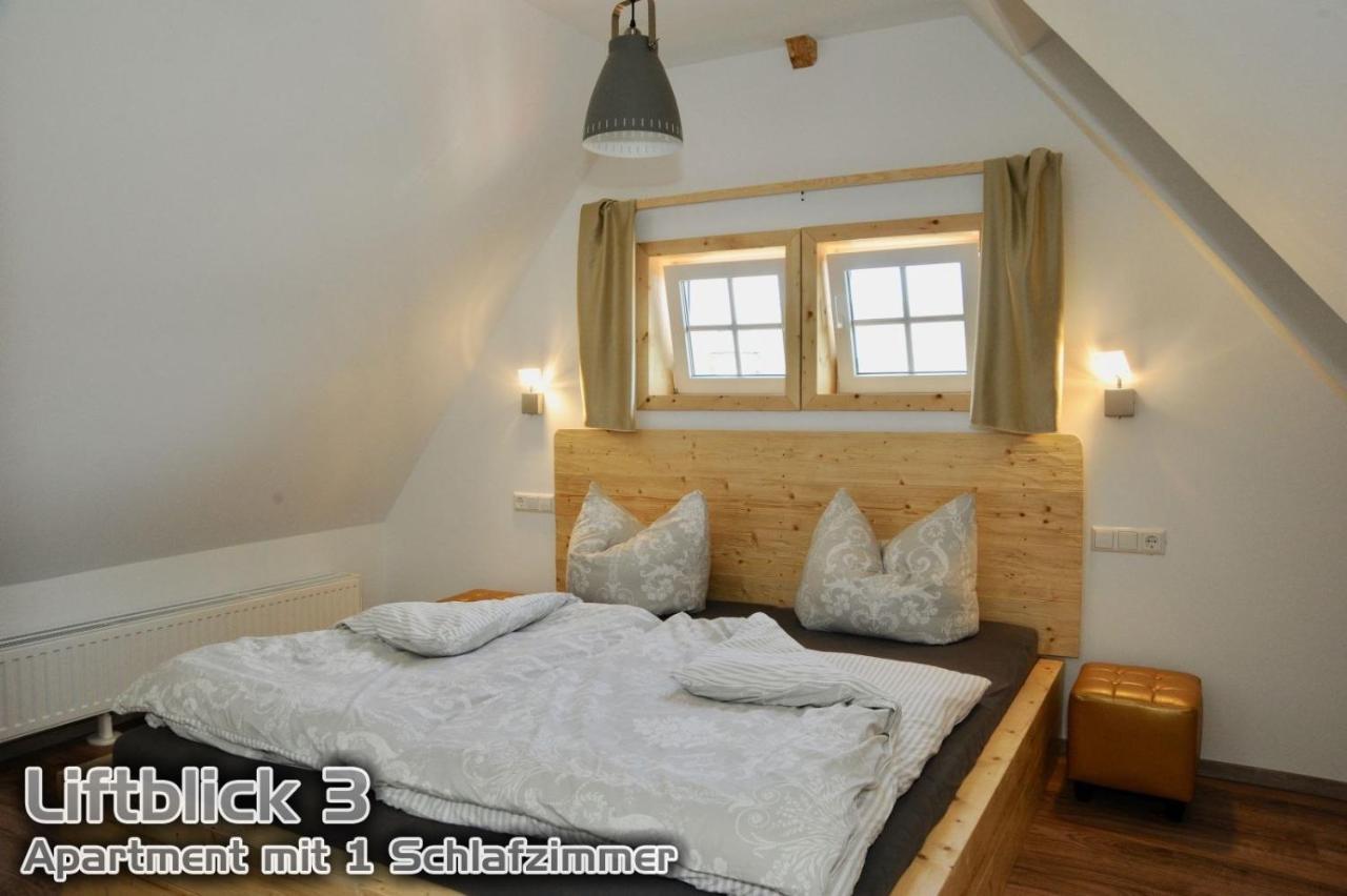 Ferienwohnungen "Liftblick 2 Oder 3" Im Kurort Altenberg 외부 사진