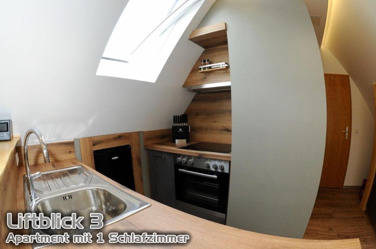Ferienwohnungen "Liftblick 2 Oder 3" Im Kurort Altenberg 외부 사진